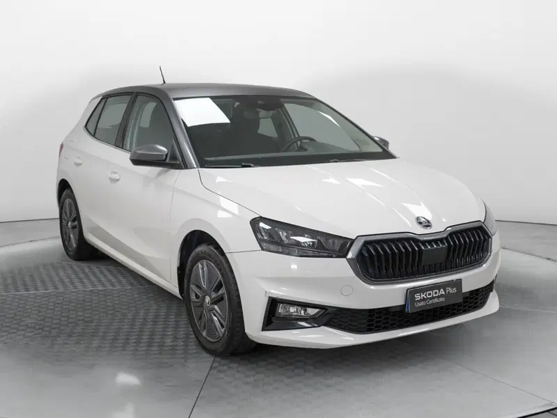 Skoda Fabia usata a Varese (3)