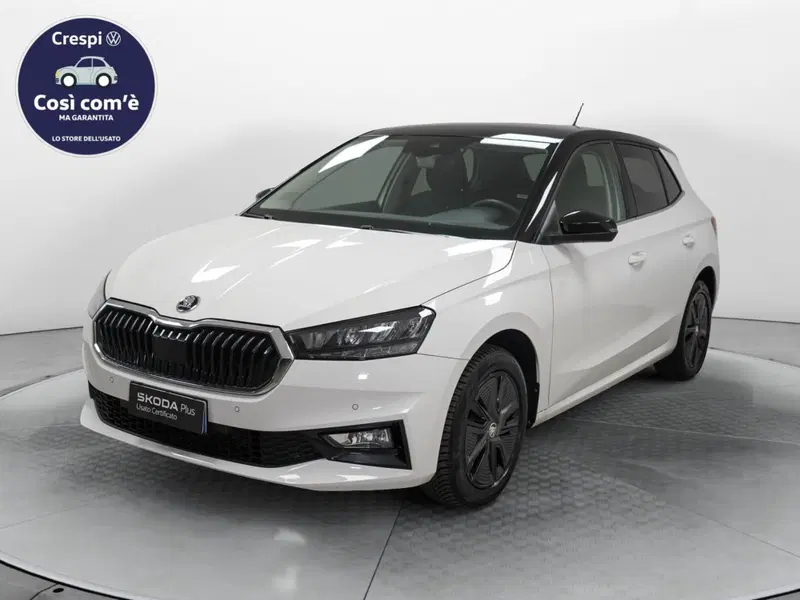 Skoda Fabia usata a Varese