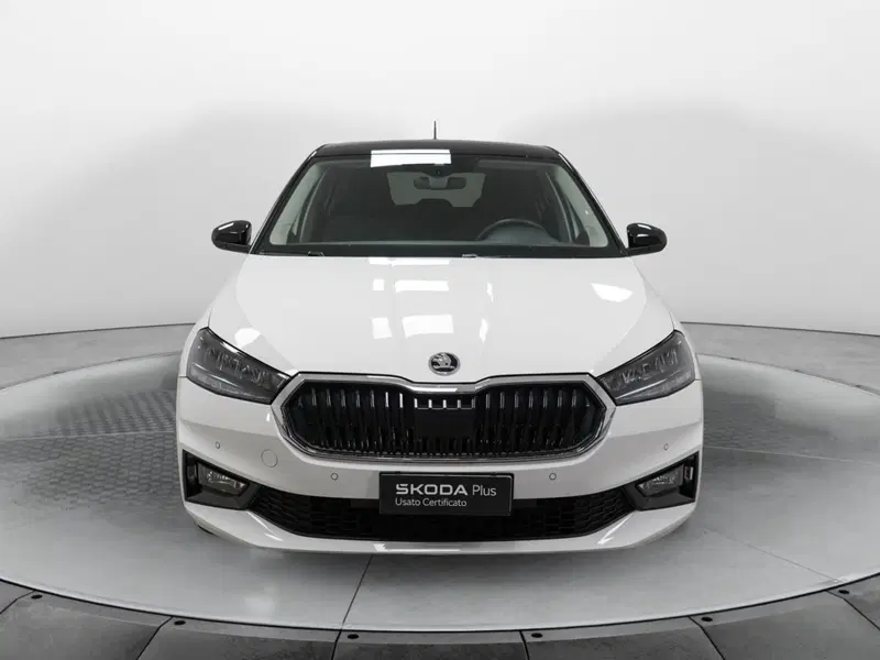 Skoda Fabia usata a Varese (2)