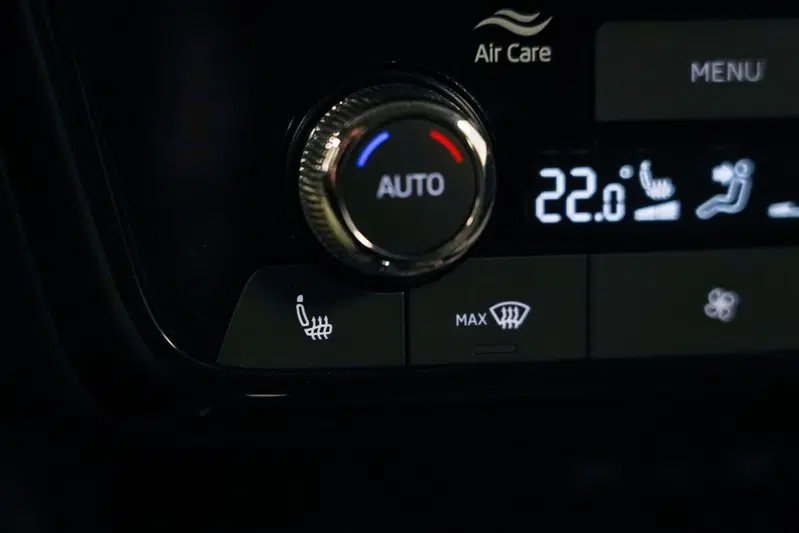 Skoda Fabia usata a Varese (20)