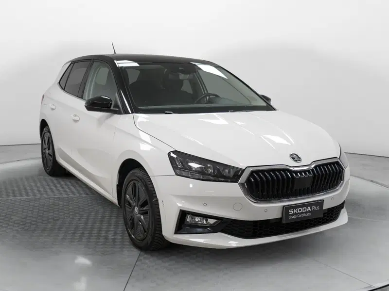 Skoda Fabia usata a Varese (3)