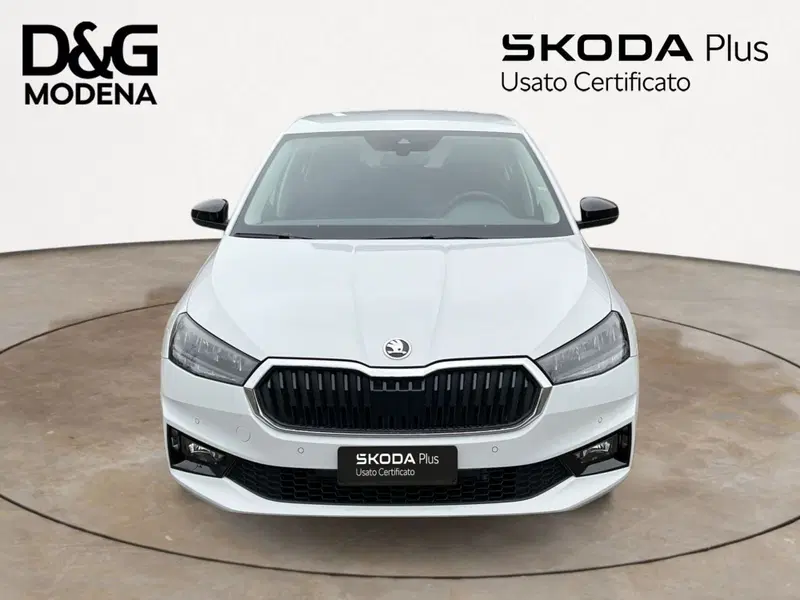 Skoda Fabia usata a Modena (2)