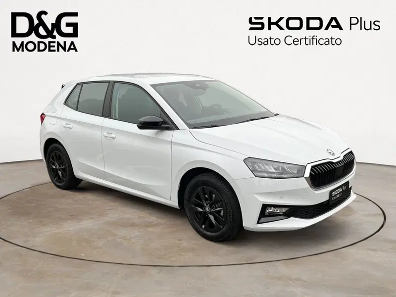Skoda Fabia usata a Modena (3)