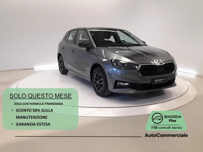 Skoda Fabia usata a Bologna