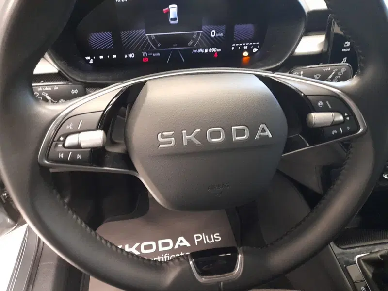 Skoda Fabia usata a Bologna (11)