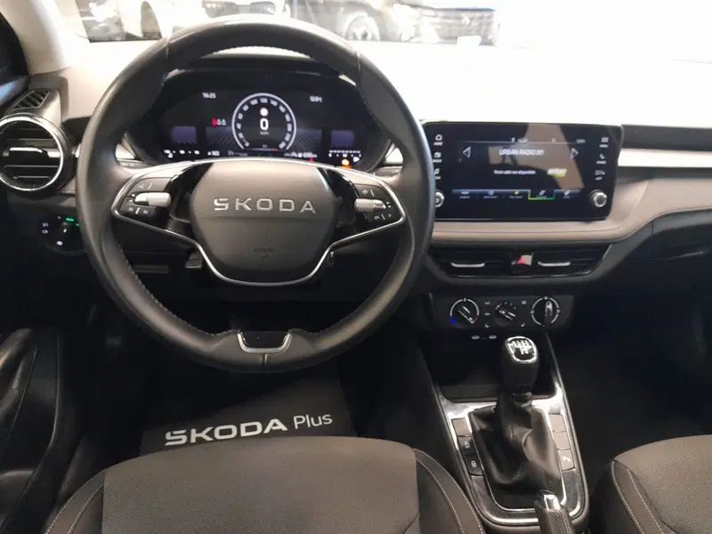 Skoda Fabia usata a Bologna (16)