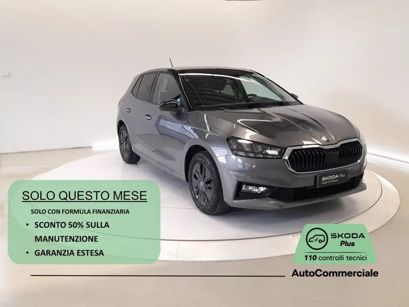 Skoda Fabia usata a Bologna