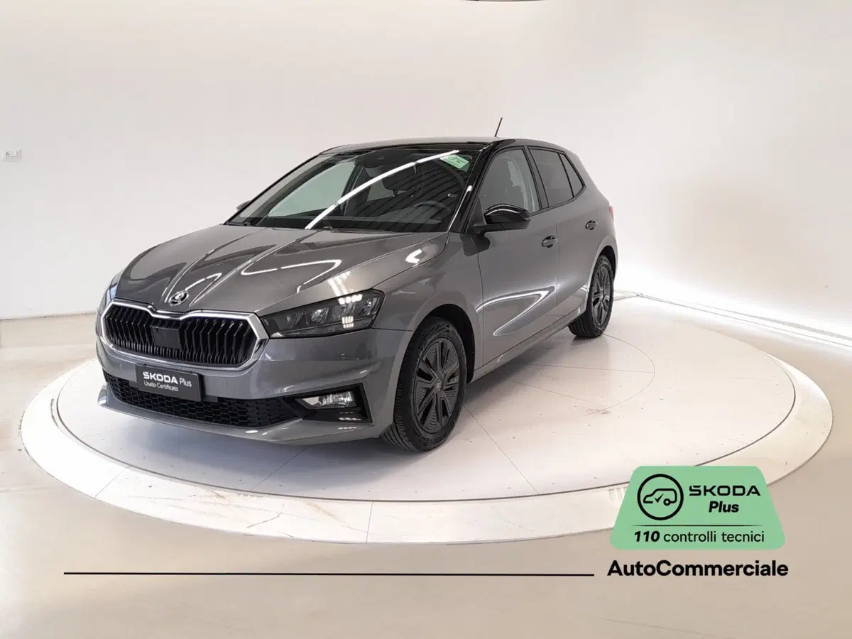 Skoda Fabia usata a Bologna (3)