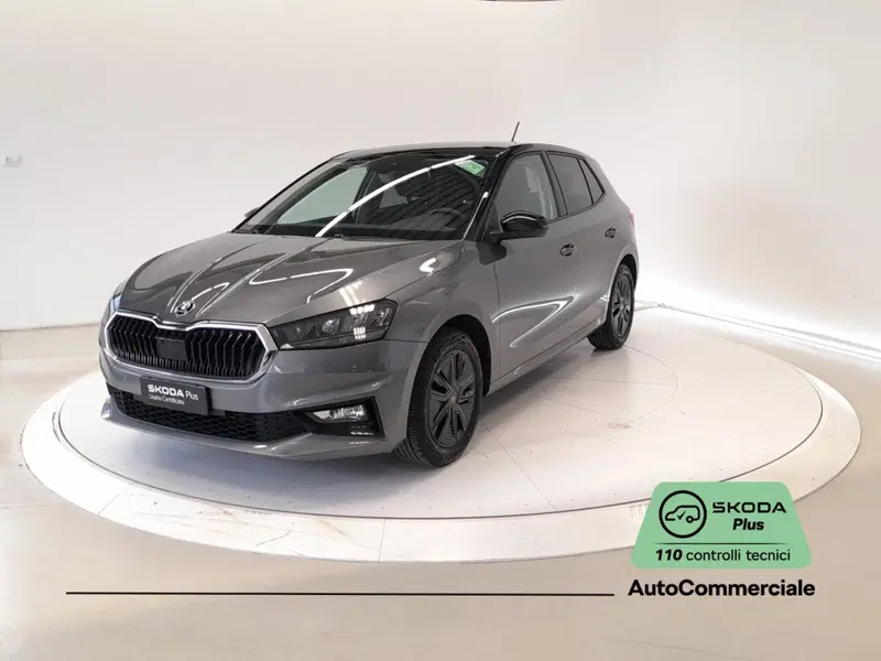 Skoda Fabia usata a Bologna (3)