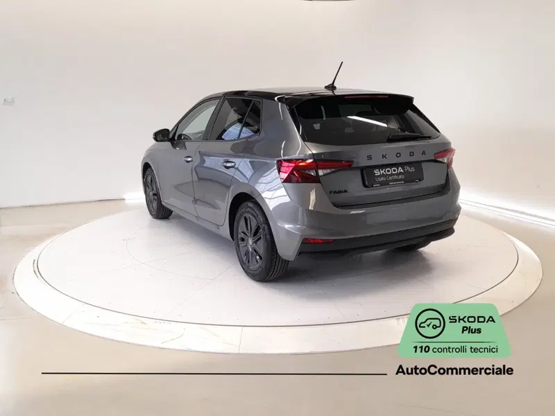 Skoda Fabia usata a Bologna (4)