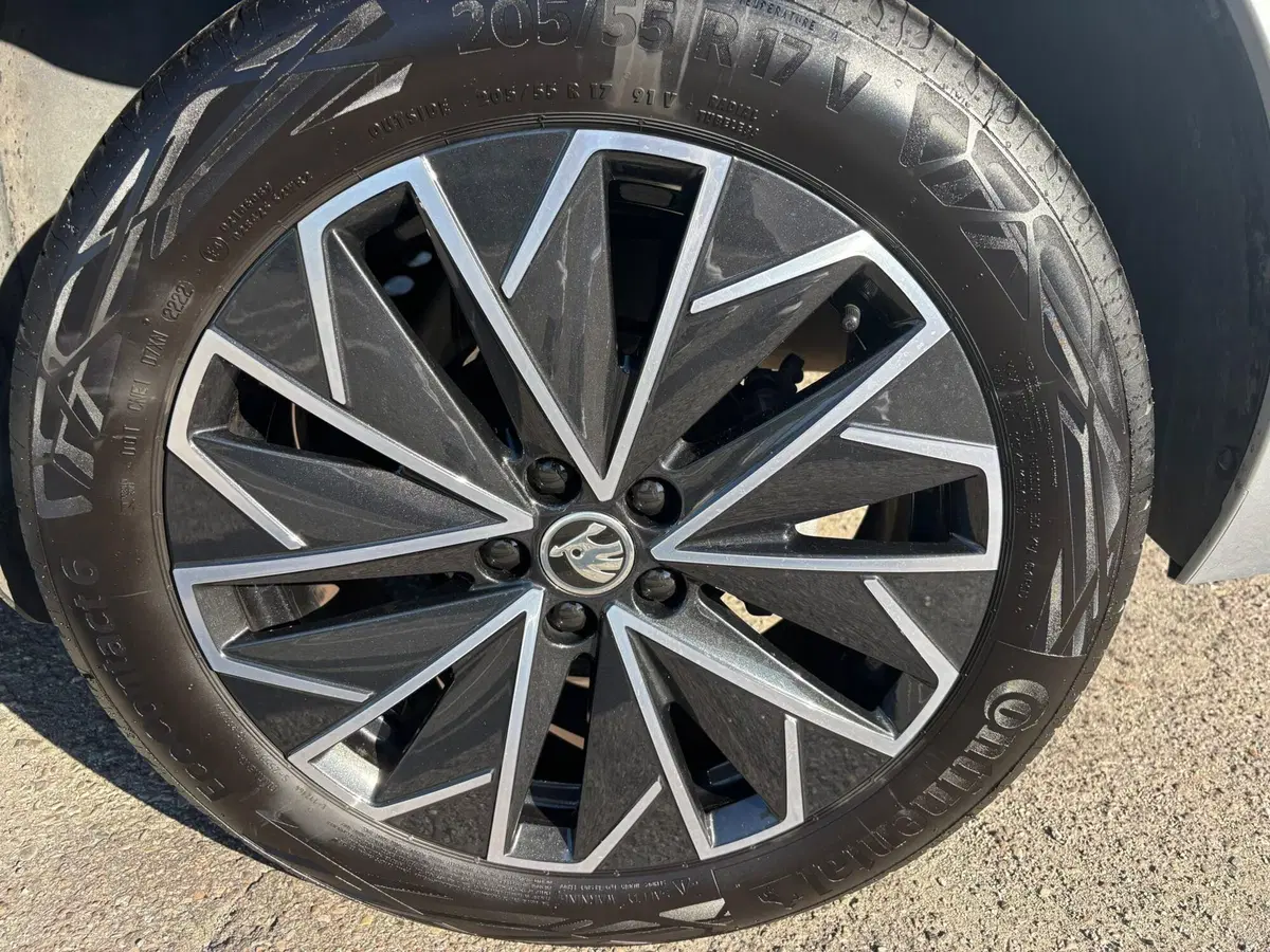 Skoda Kamiq usata a Modena (19)