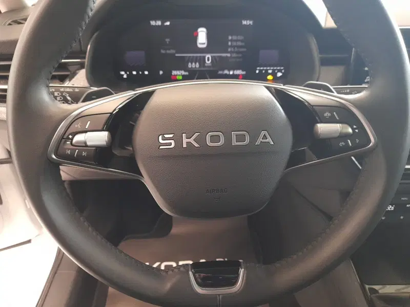 Skoda Kamiq usata a Bologna (11)