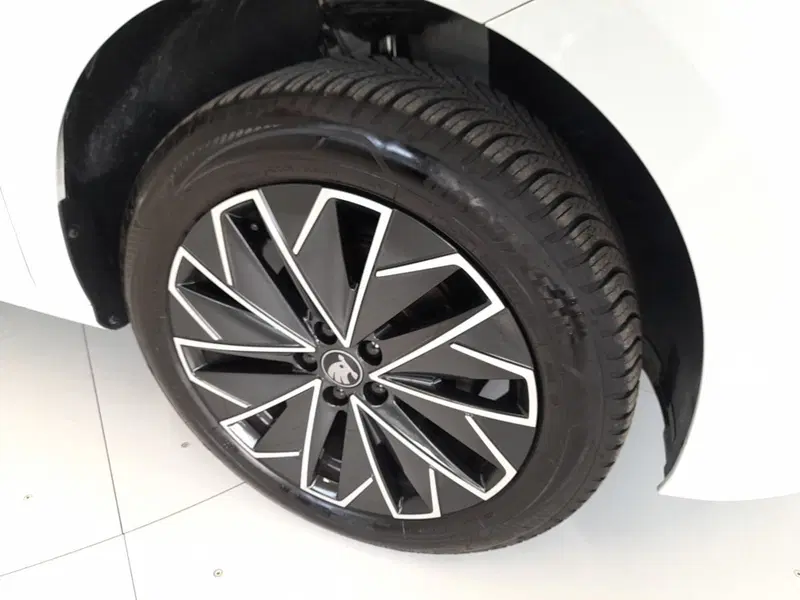 Skoda Kamiq usata a Bologna (7)