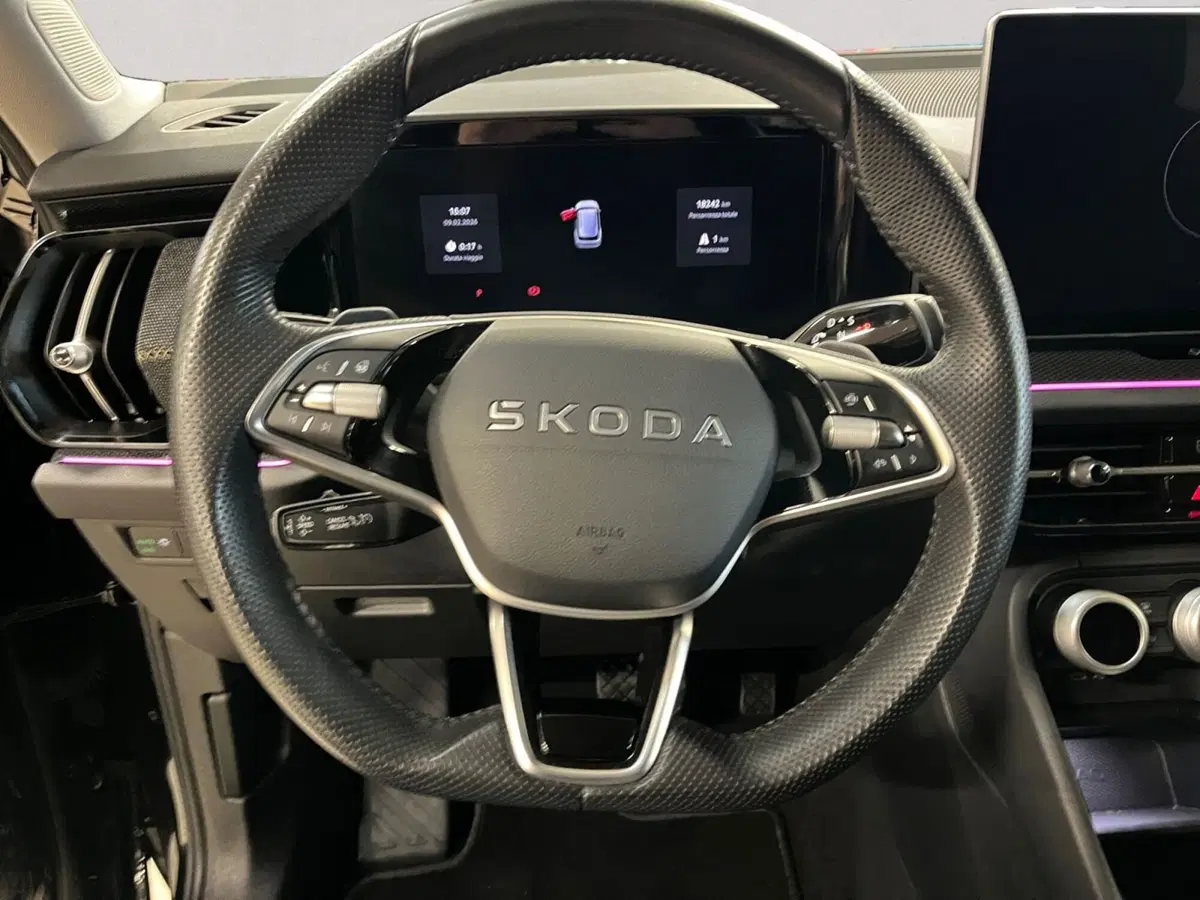 Skoda Kodiaq usata a Modena (18)