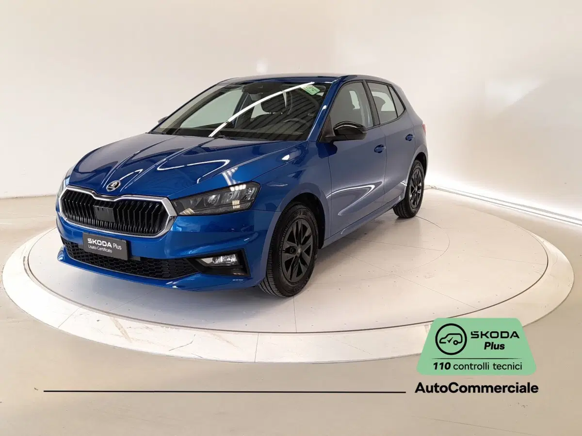 Skoda Fabia usata a Bologna (3)