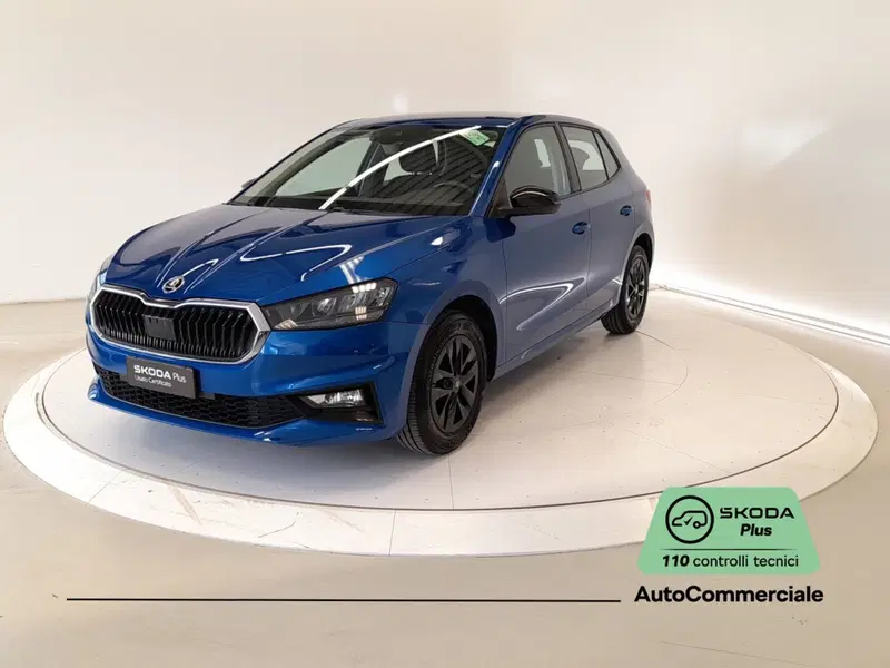 Skoda Fabia usata a Bologna (3)