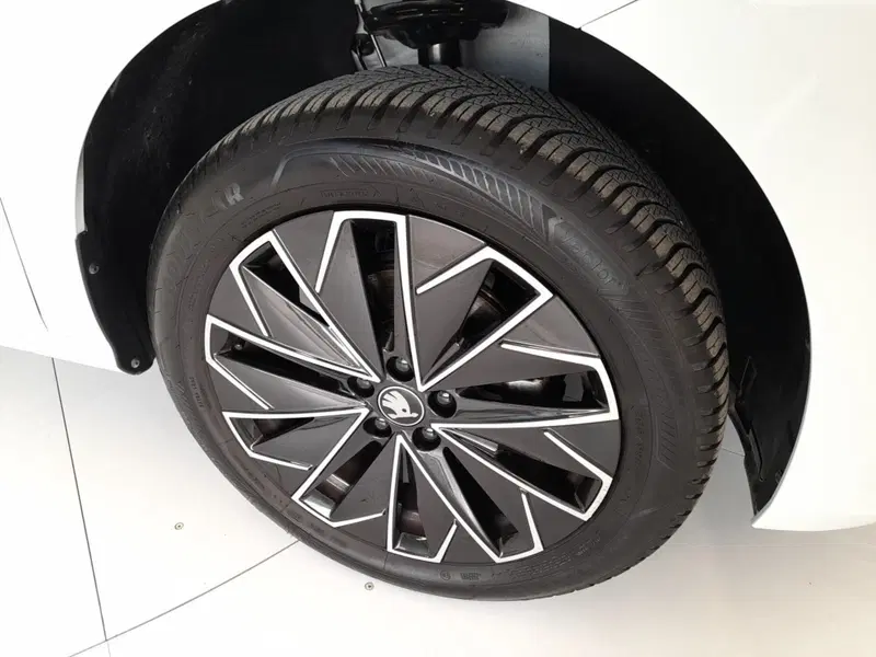 Skoda Kamiq usata a Bologna (7)