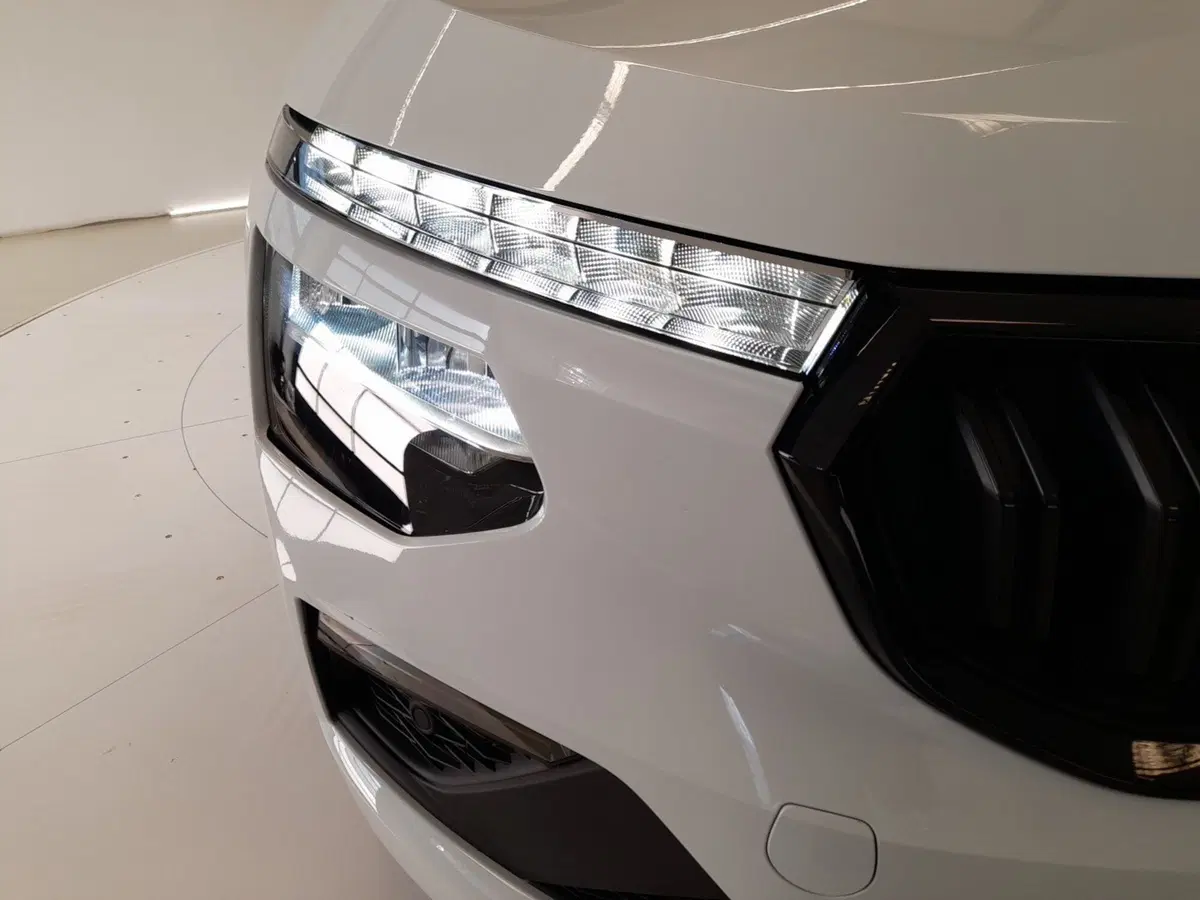 Skoda Kamiq usata a Bologna (8)