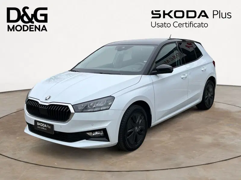Skoda Fabia usata a Modena