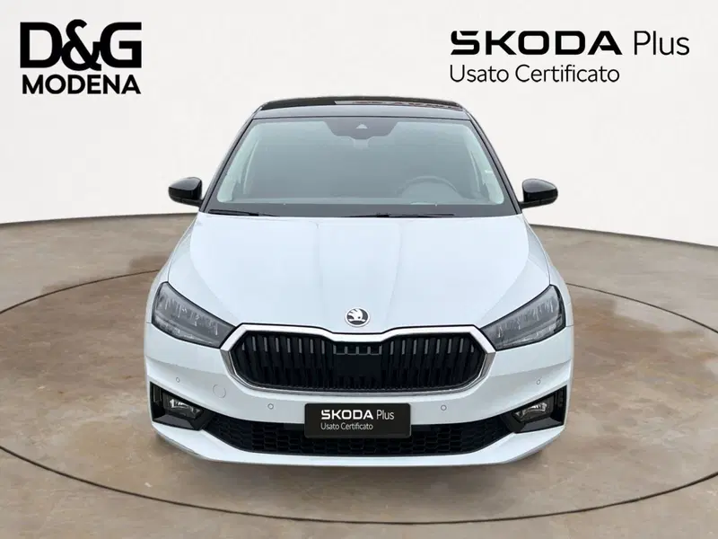 Skoda Fabia usata a Modena (2)