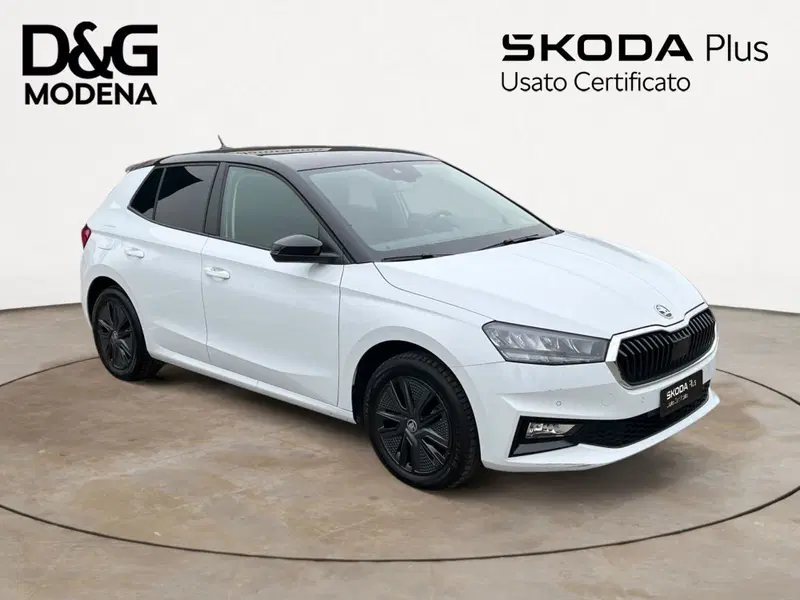 Skoda Fabia usata a Modena (3)