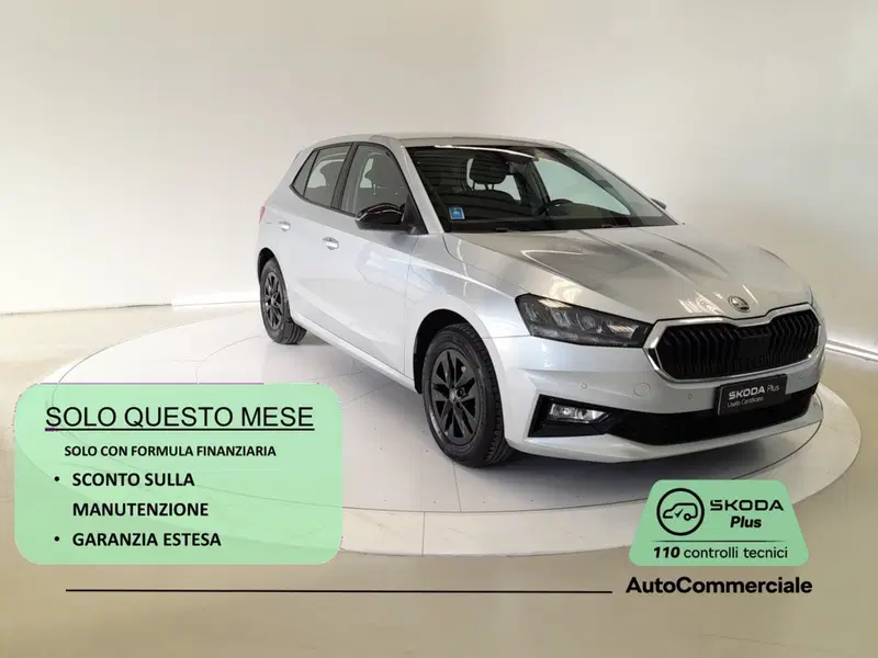 Skoda Fabia usata a Bologna