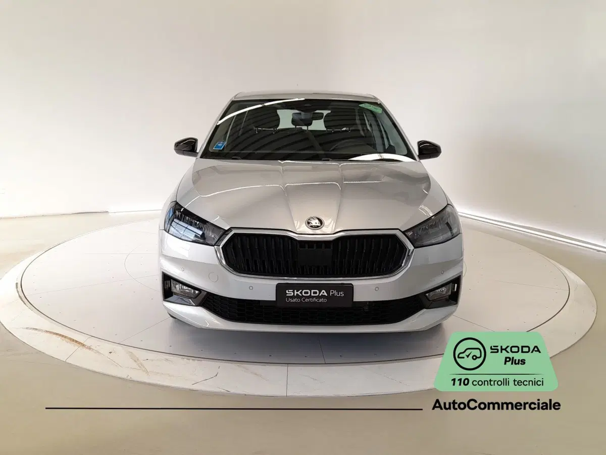 Skoda Fabia usata a Bologna (2)