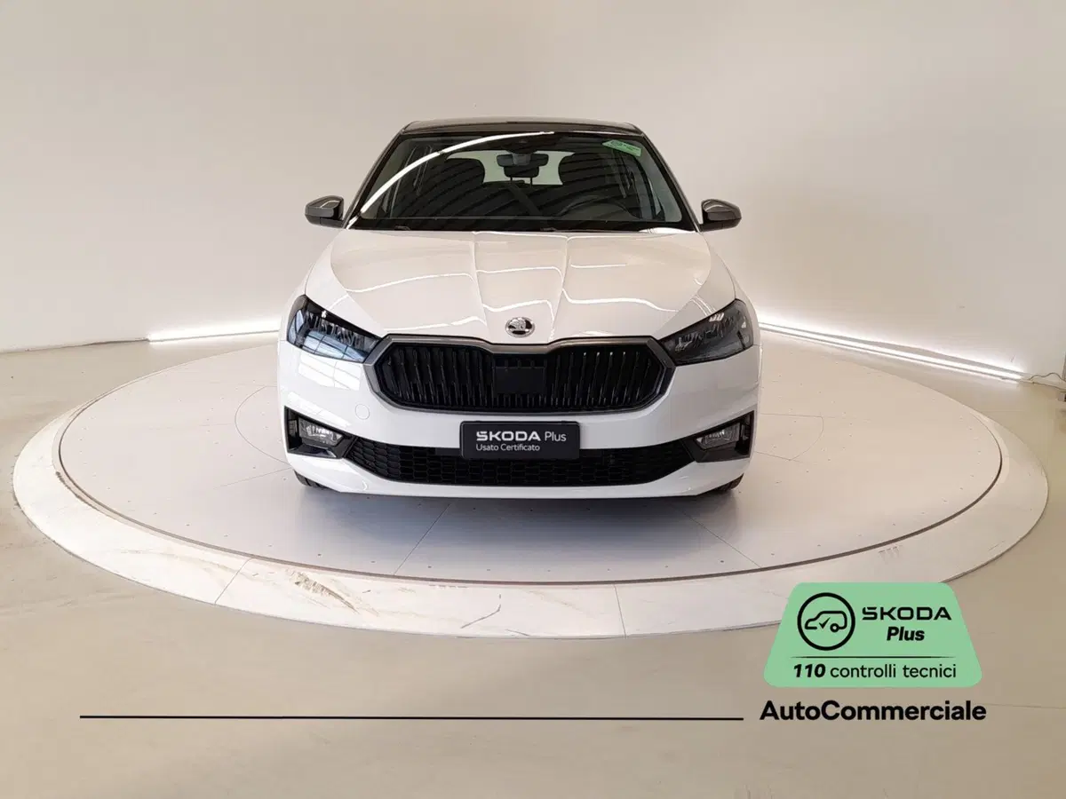 Skoda Fabia usata a Bologna (2)