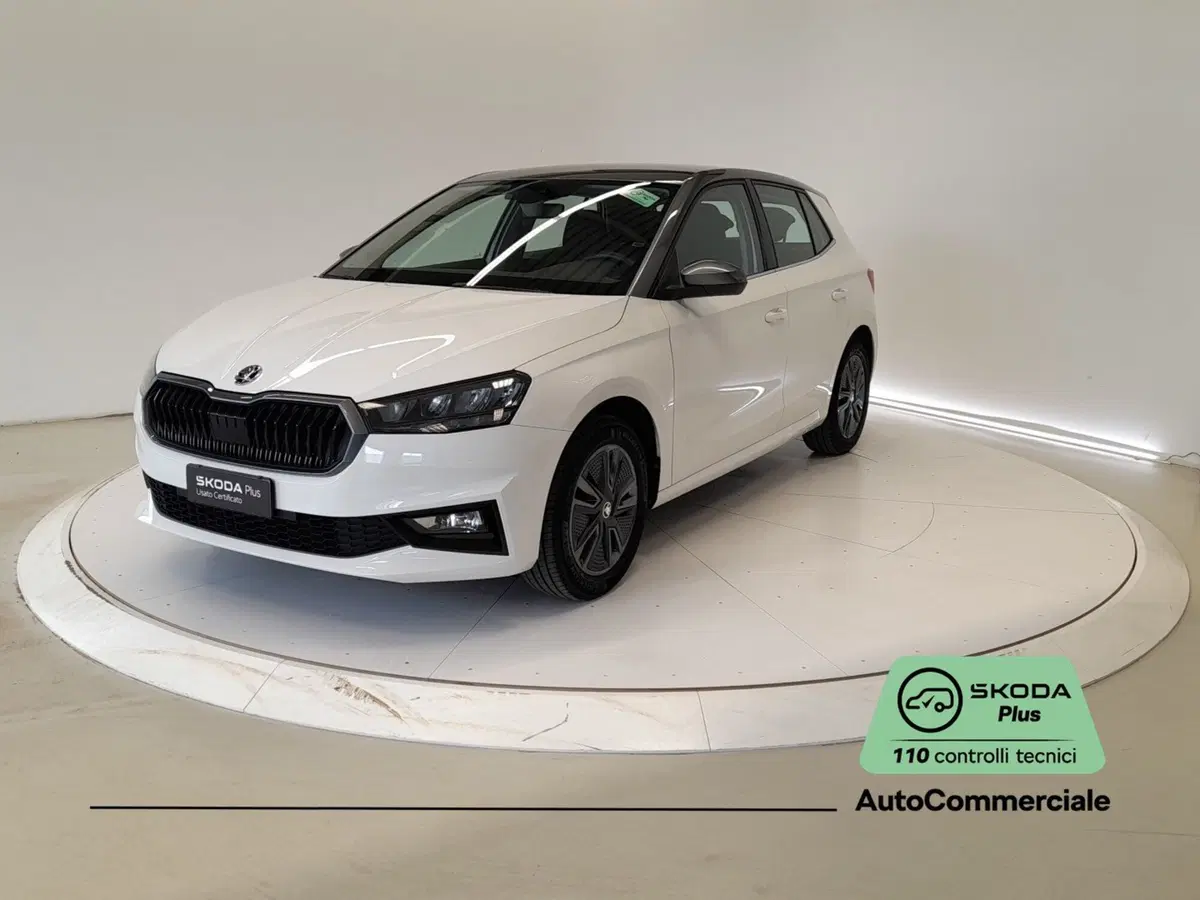 Skoda Fabia usata a Bologna (3)