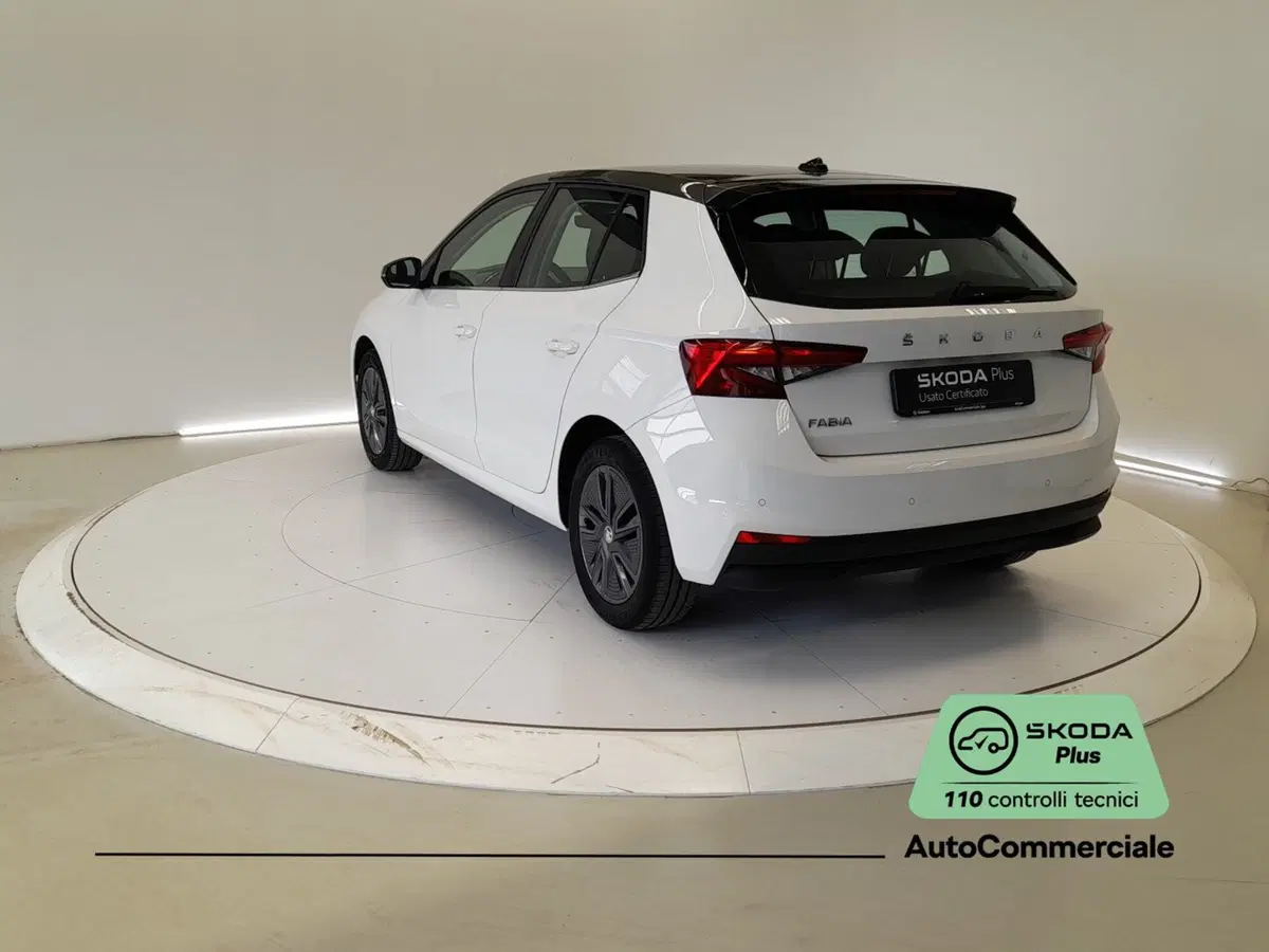 Skoda Fabia usata a Bologna (4)