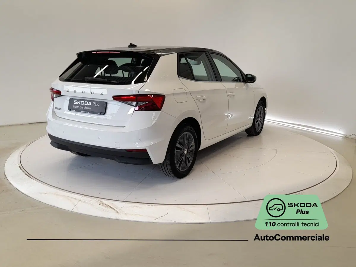 Skoda Fabia usata a Bologna (6)