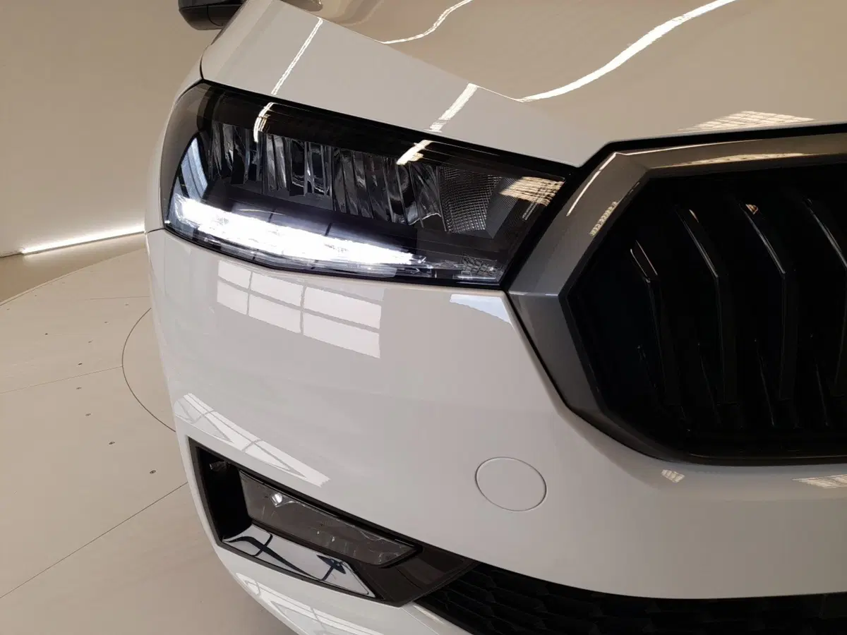Skoda Fabia usata a Bologna (8)