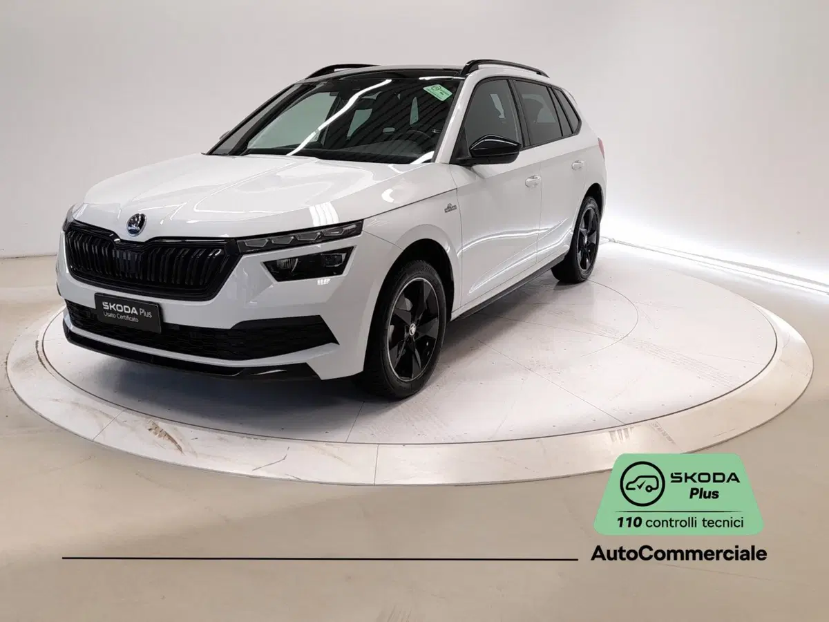 Skoda Kamiq usata a Bologna (3)
