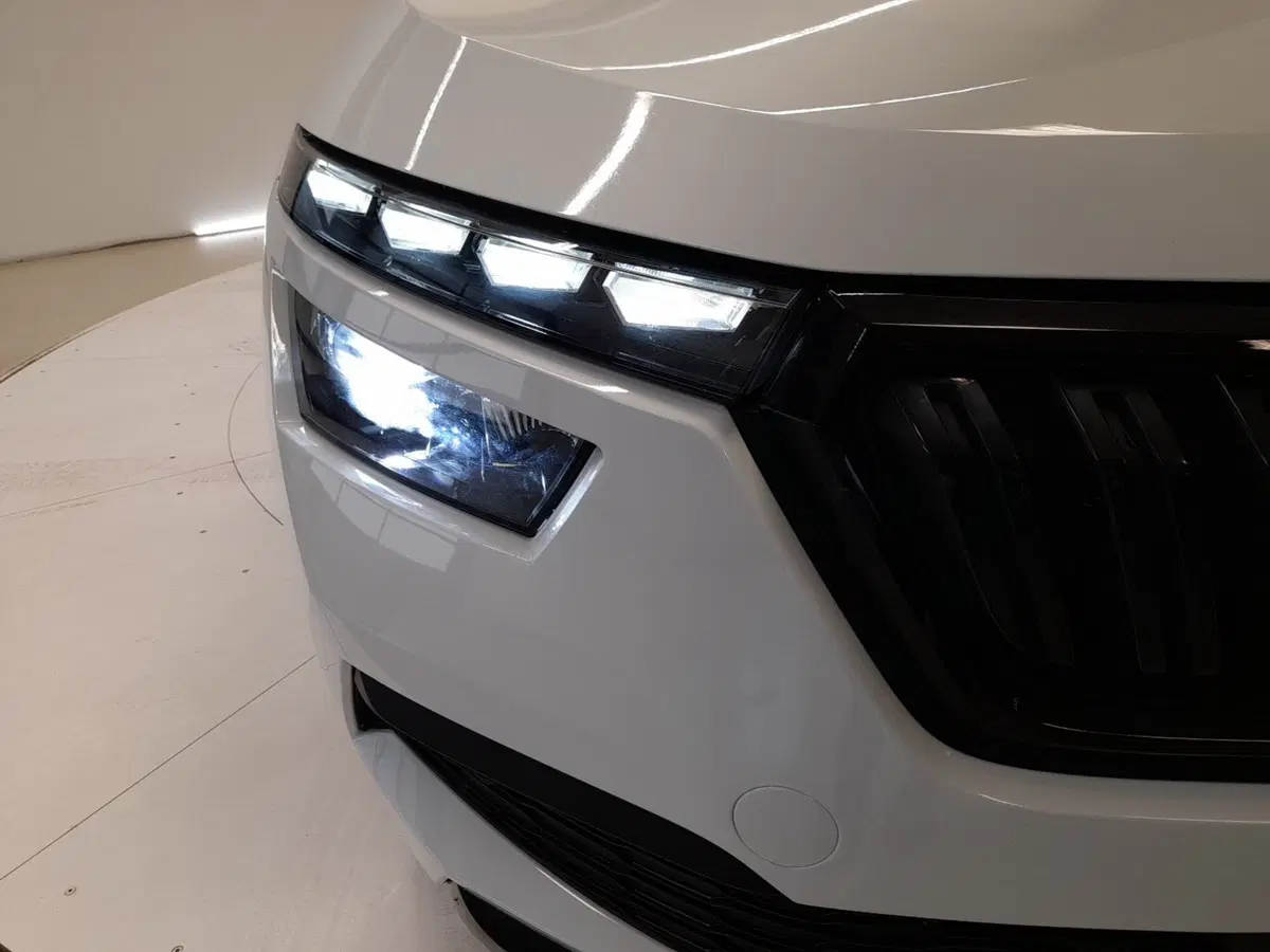 Skoda Kamiq usata a Bologna (8)