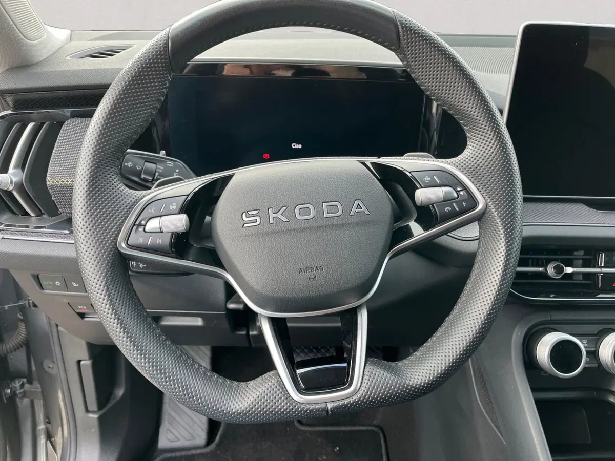 Skoda Kodiaq usata a Modena (13)
