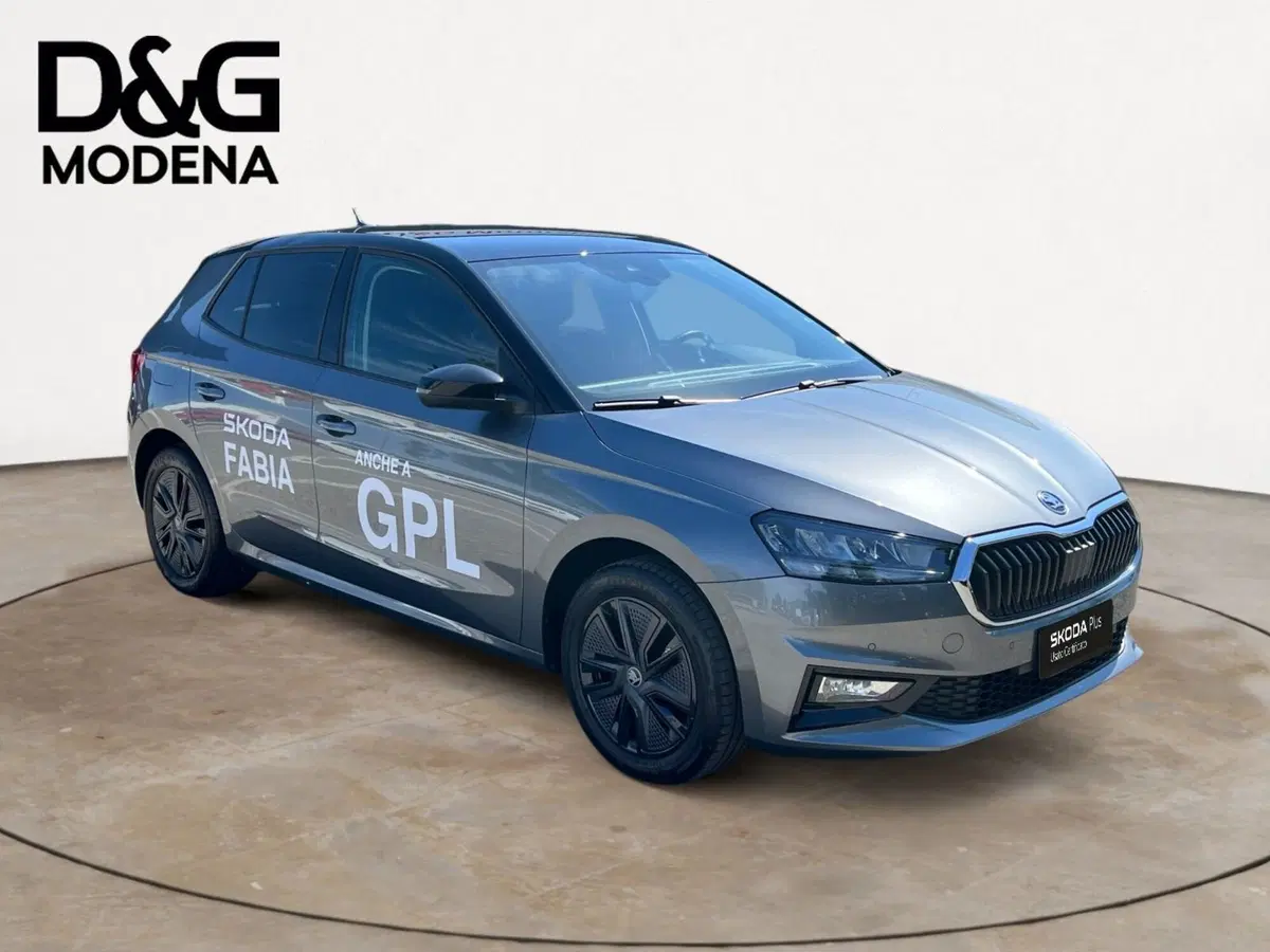 Skoda Fabia usata a Modena (7)