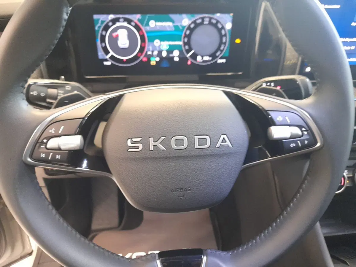 Skoda Kodiaq usata a Bologna (12)