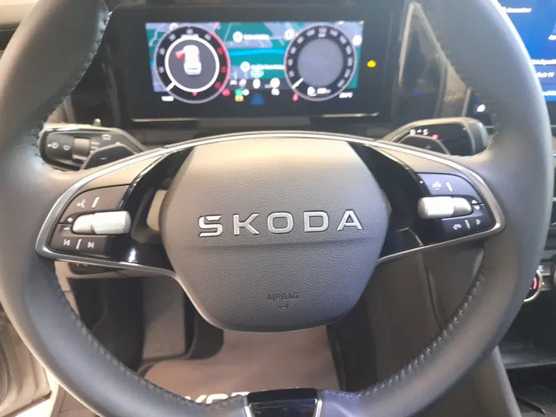 Skoda Kodiaq usata a Bologna (12)
