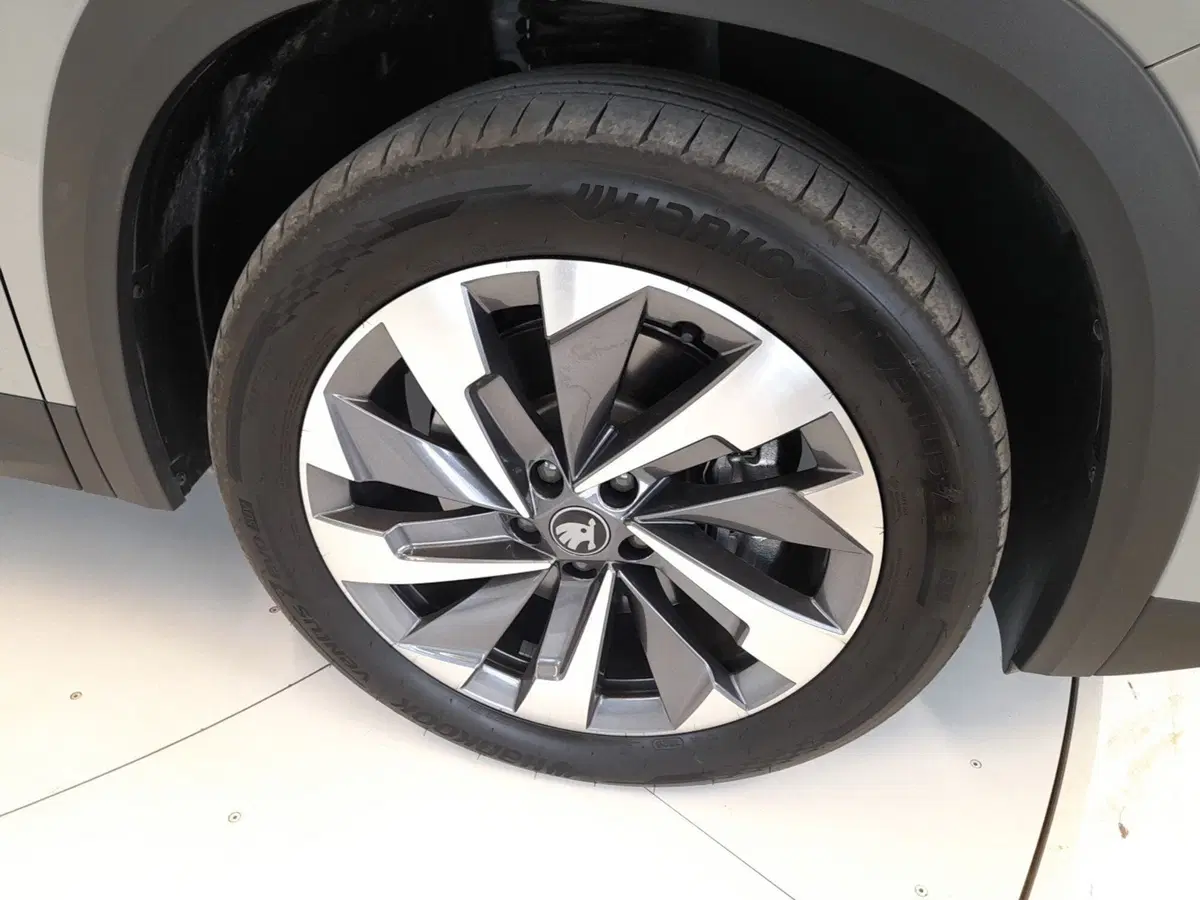 Skoda Kodiaq usata a Bologna (7)