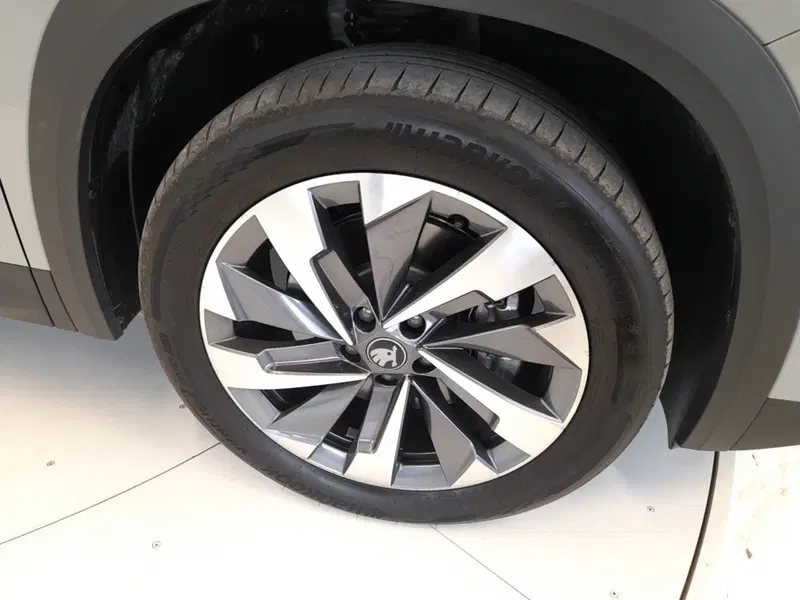 Skoda Kodiaq usata a Bologna (7)