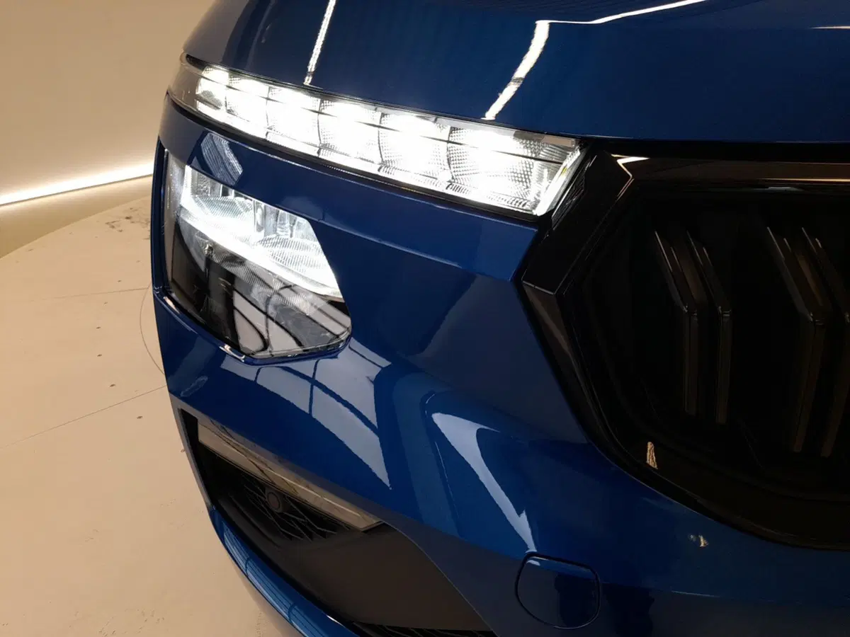 Skoda Kamiq usata a Bologna (8)
