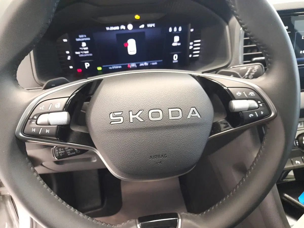 Skoda Karoq usata a Bologna (11)