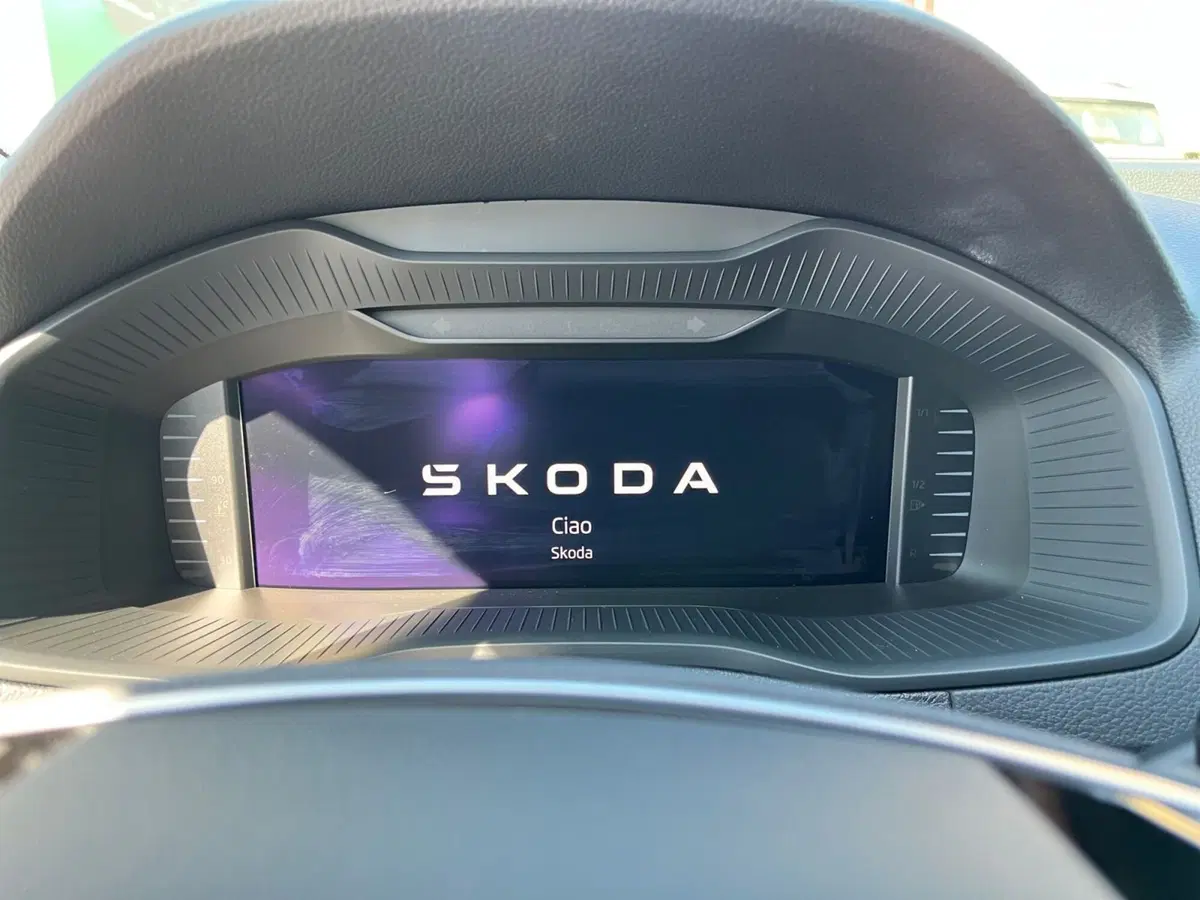 Skoda Karoq nuova a Modena (14)