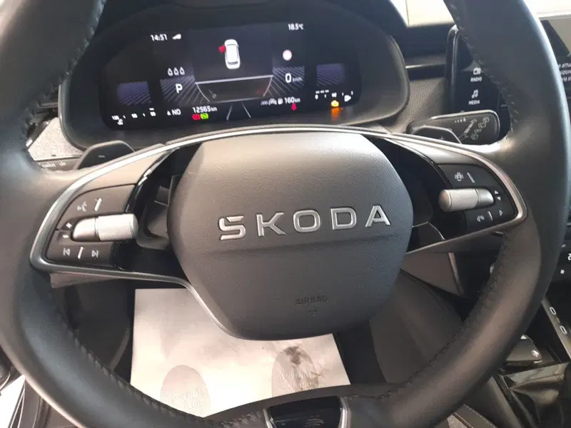 Skoda Kamiq usata a Bologna (11)