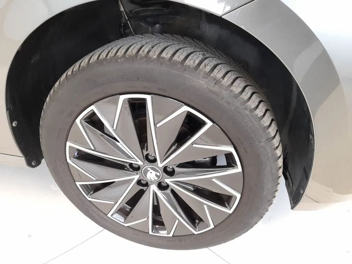 Skoda Kamiq usata a Bologna (7)