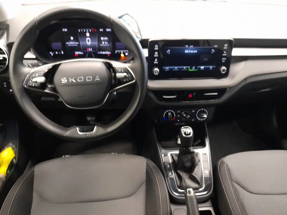 Skoda Fabia usata a Bologna (16)