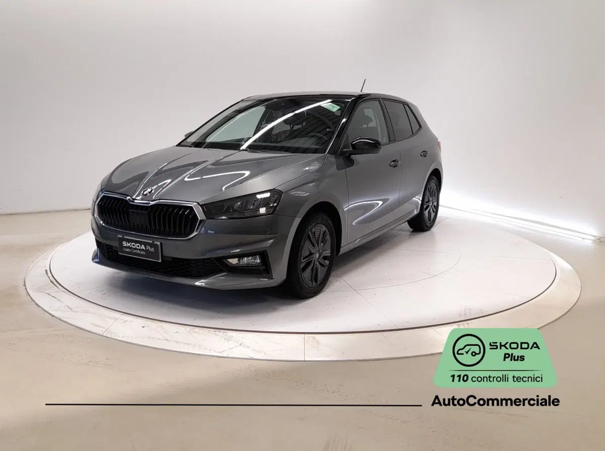 Skoda Fabia usata a Bologna (3)