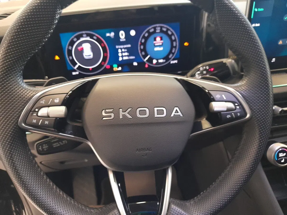 Skoda Kodiaq usata a Bologna (10)