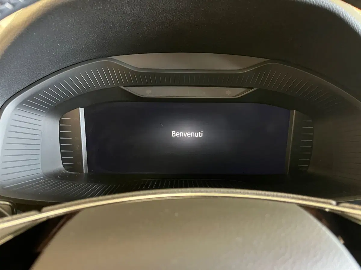 Skoda Kodiaq usata a Modena (14)