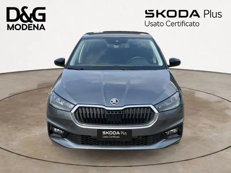 Skoda Fabia usata a Modena (8)